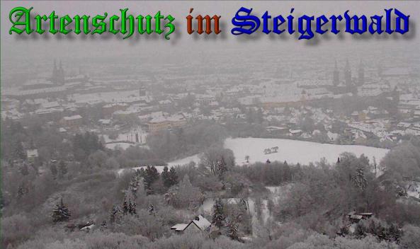 Copyright AiS- Webcam Altenburg / Bamberg Bild zum Eintrag (33873-160)
