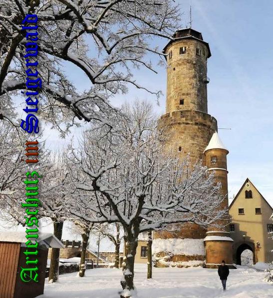 Copyright AiS - Ronald Rinklef / Fränkischer Tag / Bamberg Bild zum Eintrag (33874-160)