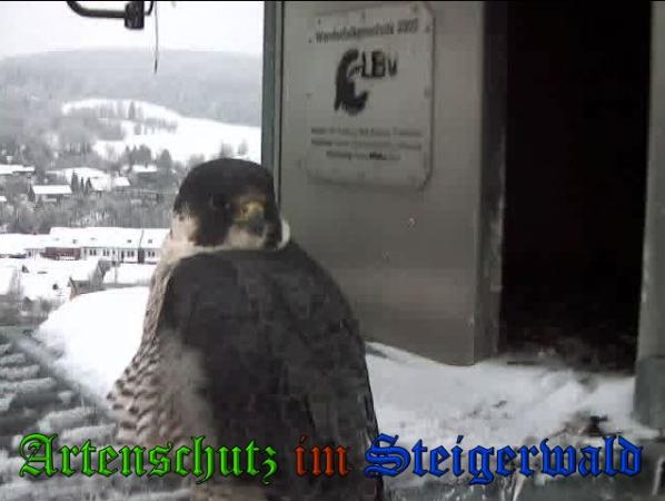 Copyright AiS - Wörner Bild zum Eintrag (34107-160)