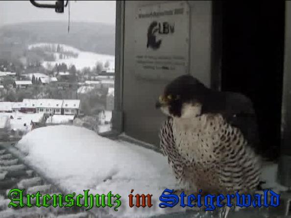 Copyright AiS - Wörner Bild zum Eintrag (34109-160)