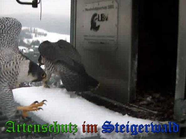 Copyright AiS - Wörner Bild zum Eintrag (34110-160)