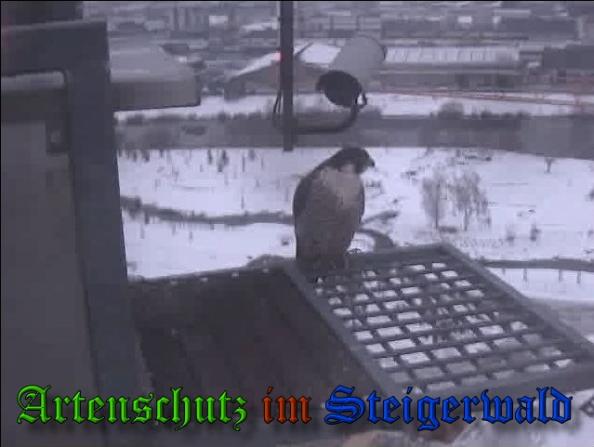 Copyright AiS - Wörner Bild zum Eintrag (34114-160)