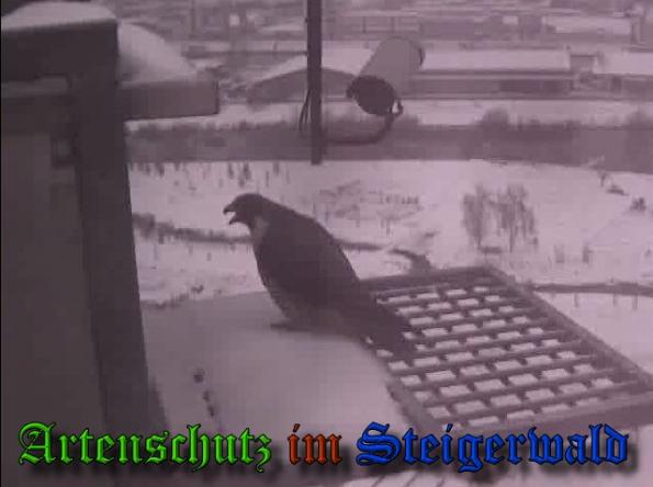 Copyright AiS - Wörner Bild zum Eintrag (34115-160)