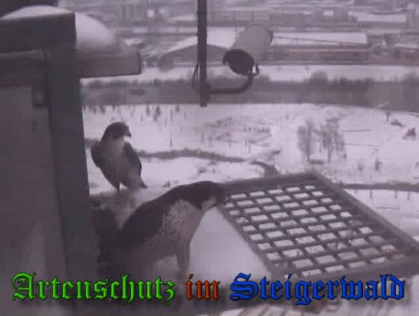 Copyright AiS - Wörner Bild zum Eintrag (34116-160)