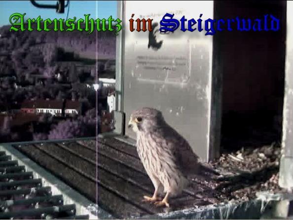 Copyright AiS - Wörner Bild zum Eintrag (34127-160)