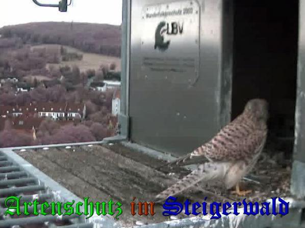 Copyright AiS - Wörner Bild zum Eintrag (34128-160)