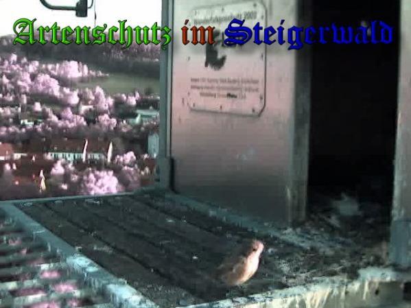 Copyright AiS Wörner Bild zum Eintrag (34131-160)