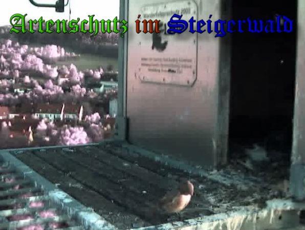 Copyright AiS Wörner Bild zum Eintrag (34132-160)