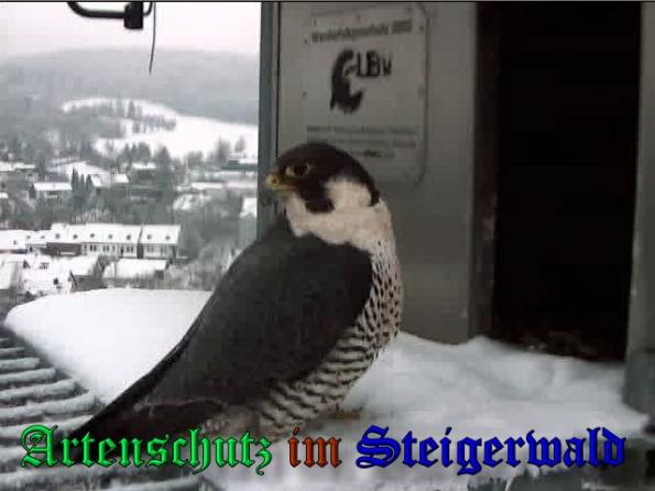 Copyright AiS - Wörner Bild zum Eintrag (34968-160)