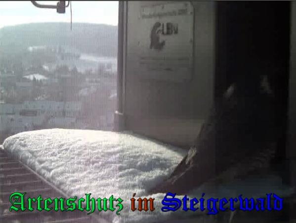 Copyright AiS - Wörner Bild zum Eintrag (34969-160)
