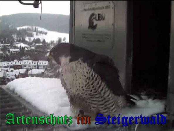 Copyright AiS - Wörner Bild zum Eintrag (34972-160)