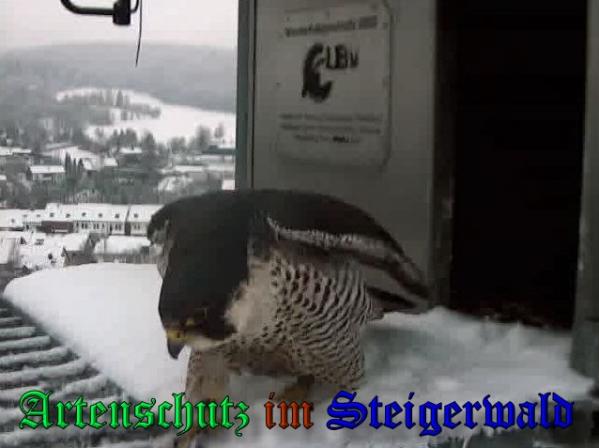 Copyright AiS - Wörner Bild zum Eintrag (34973-160)