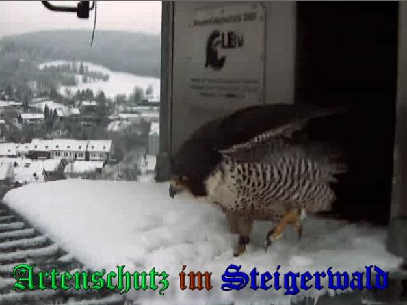 Copyright AiS - Wörner Bild zum Eintrag (34974-160)