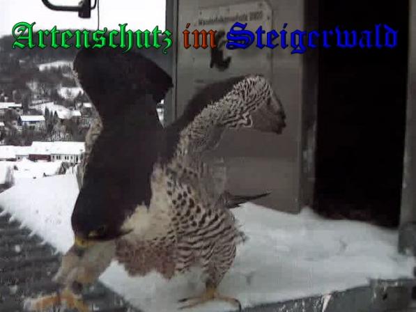 Copyright AiS - Wörner Bild zum Eintrag (34975-160)