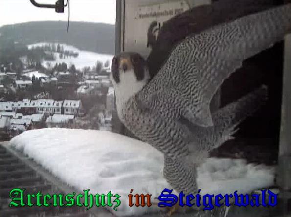 Copyright AiS - Wörner Bild zum Eintrag (34976-160)