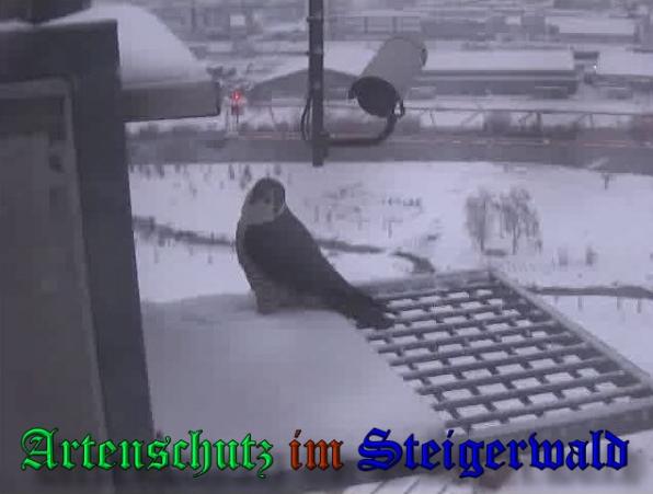 Copyright AiS - Wörner Bild zum Eintrag (34981-160)