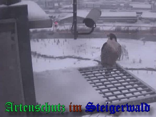 Copyright AiS - Wörner Bild zum Eintrag (34982-160)