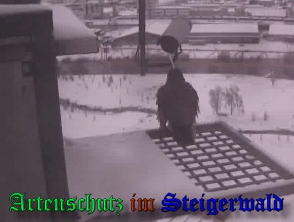 Copyright AiS - Wörner Bild zum Eintrag (34983-160)