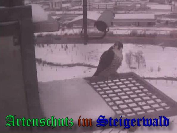 Copyright AiS - Wörner Bild zum Eintrag (34984-160)