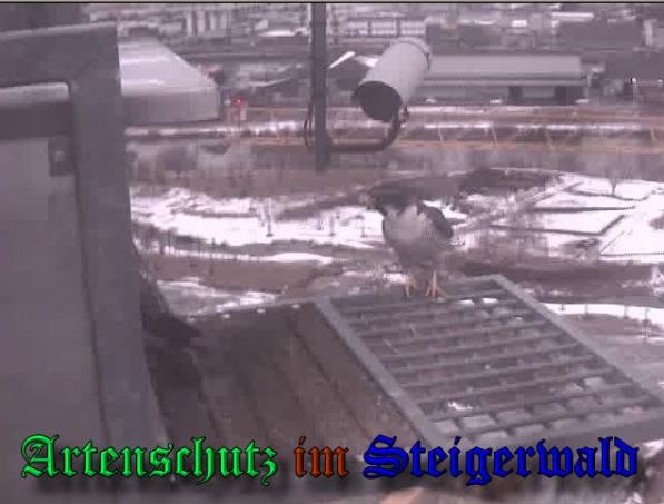 Copyright AiS - Wörner Bild zum Eintrag (34985-160)