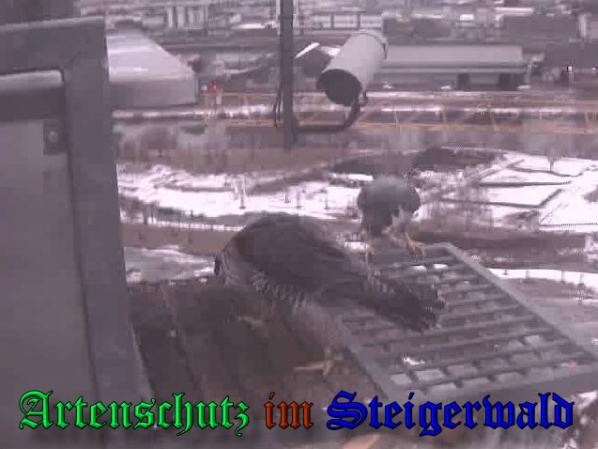 Copyright AiS - Wörner Bild zum Eintrag (34986-160)