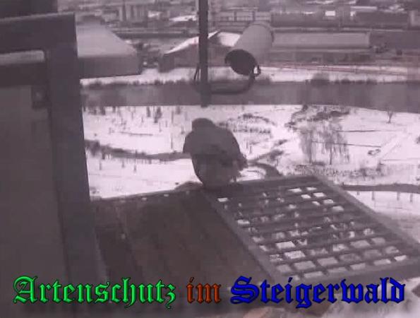 Copyright AiS - Wörner Bild zum Eintrag (34987-160)