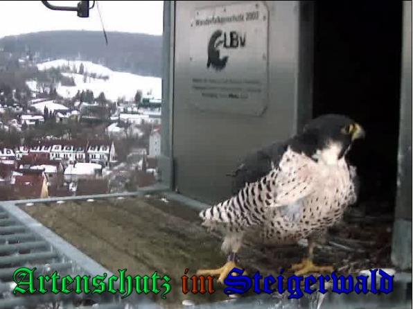 Copyright AiS - Wörner Bild zum Eintrag (34990-160)