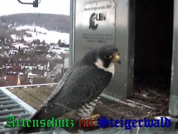 Copyright AiS - Wörner Bild zum Eintrag (34991-160)