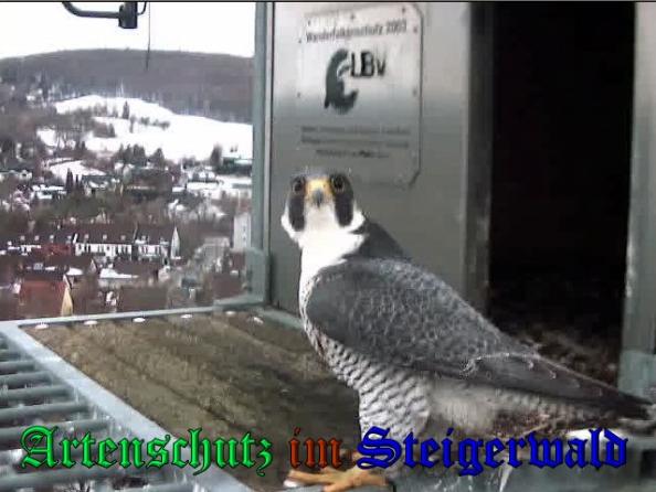 Copyright AiS - Wörner Bild zum Eintrag (34992-160)