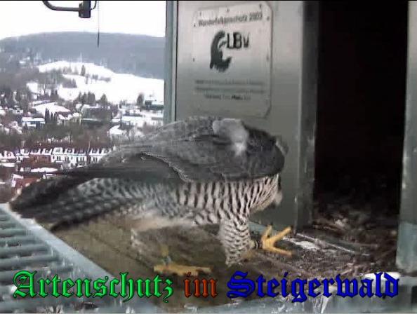 Copyright AiS - Wörner Bild zum Eintrag (34993-160)
