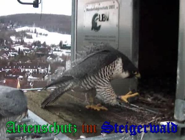 Copyright AiS - Wörner Bild zum Eintrag (34995-160)