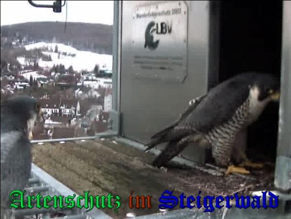 Copyright AiS - Wörner Bild zum Eintrag (34996-160)