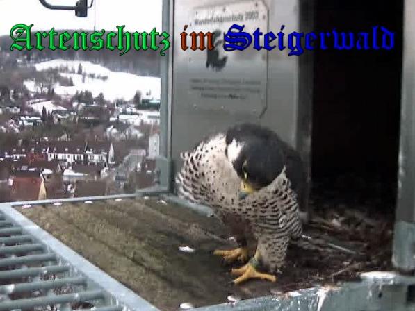 Copyright AiS - Wörner Bild zum Eintrag (34997-160)