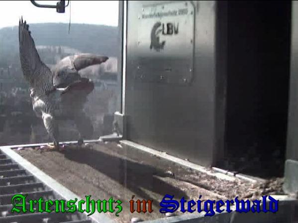 Copyright AiS Wörner Bild zum Eintrag (35666-160)