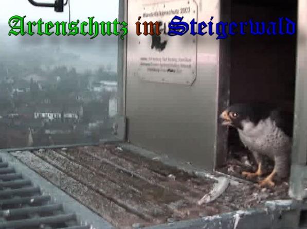 Copyright AiS - Wörner Bild zum Eintrag (35815-160)