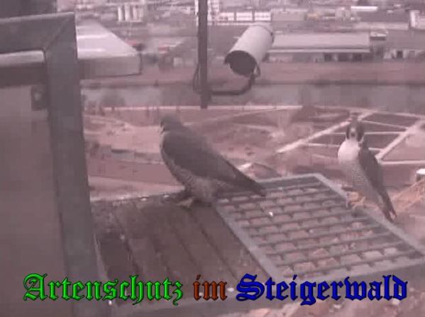 Copyright AiS Wörner Bild zum Eintrag (35882-160)
