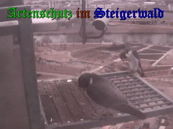 Copyright AiS Wörner Bild zum Eintrag (35883-160)