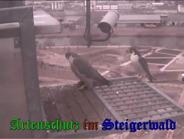 Copyright AiS Wörner Bild zum Eintrag (35884-160)