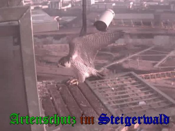 Copyright AiS Wörner Bild zum Eintrag (35886-160)