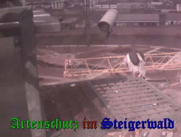 Copyright AiS Wörner Bild zum Eintrag (35888-160)