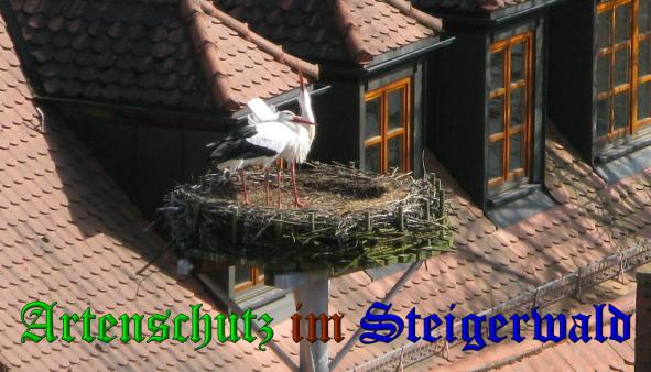 Copyright AiS - Rudi Schmidt Bild zum Eintrag (36071-160)