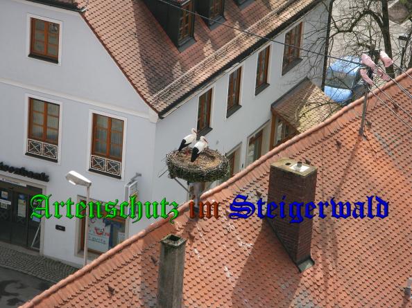 Copyright AiS Rudi Schmidt Bild zum Eintrag (36072-160)