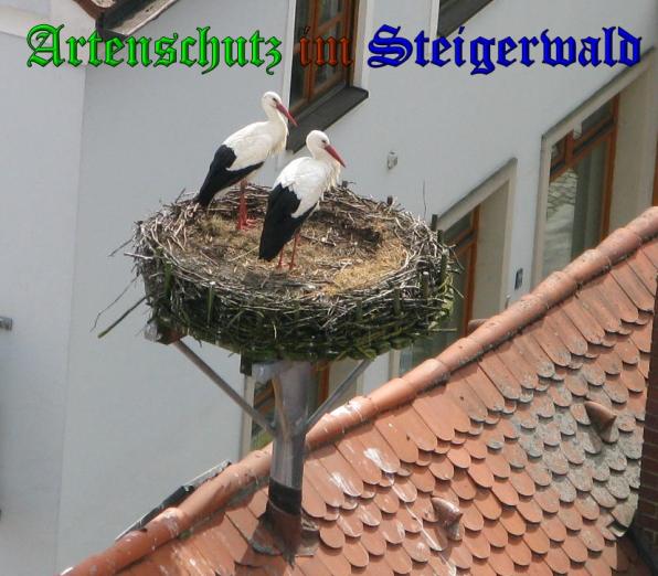 Copyright AiS Rudi Schmidt Bild zum Eintrag (36073-160)