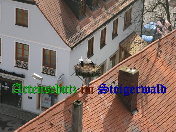 Copyright AiS Rudi Schmidt Bild zum Eintrag (36074-160)