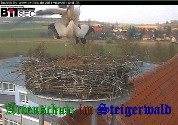 Bild zum Eintrag (36091-160)