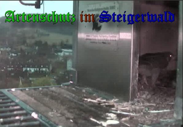 Bild zum Eintrag (36585-160)