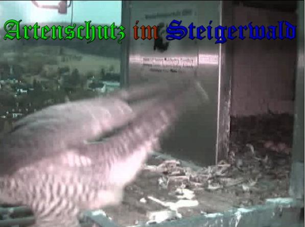 Copyright AiS-Wörner Bild zum Eintrag (36774-160)