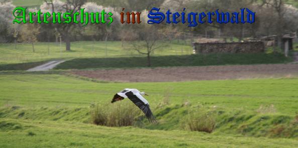 Copyright AiS-Brigitte Schmitt Bild zum Eintrag (36796-160)