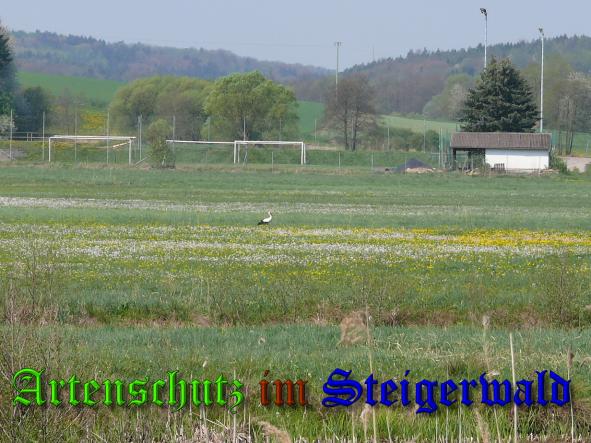 Bild zum Eintrag (36983-160)