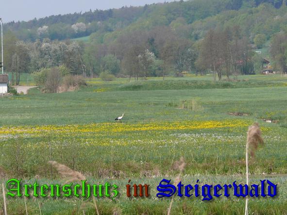 Bild zum Eintrag (36984-160)